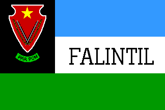 Previous FALINTIL flag